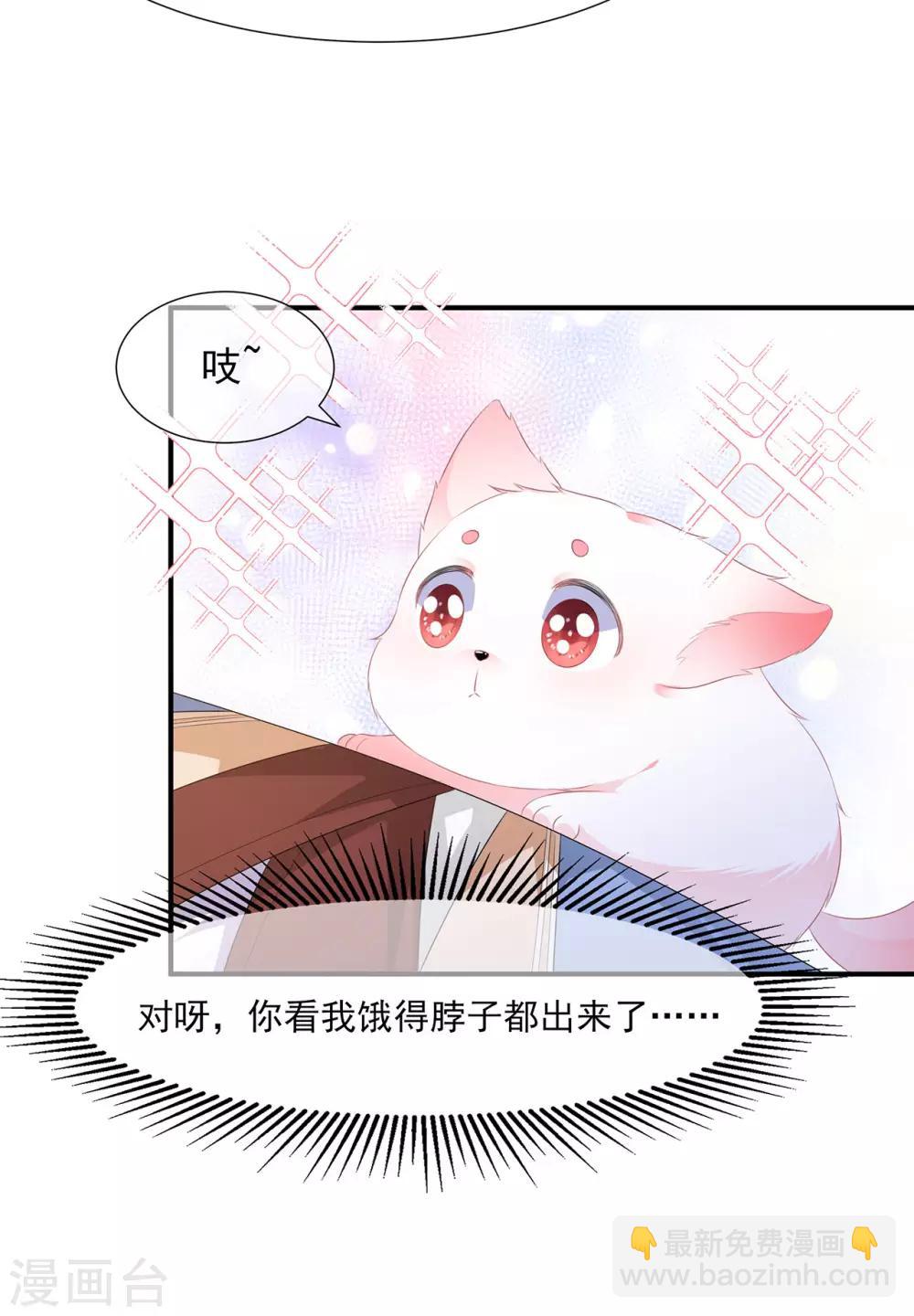 第4话 萌宠生涯-第5话