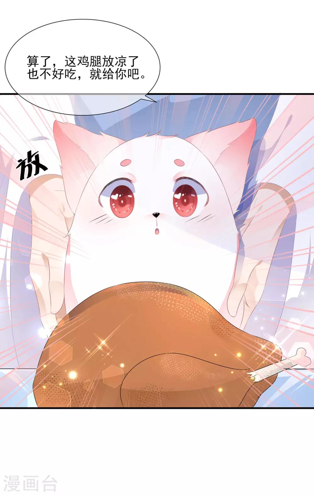 第4话 萌宠生涯-第5话