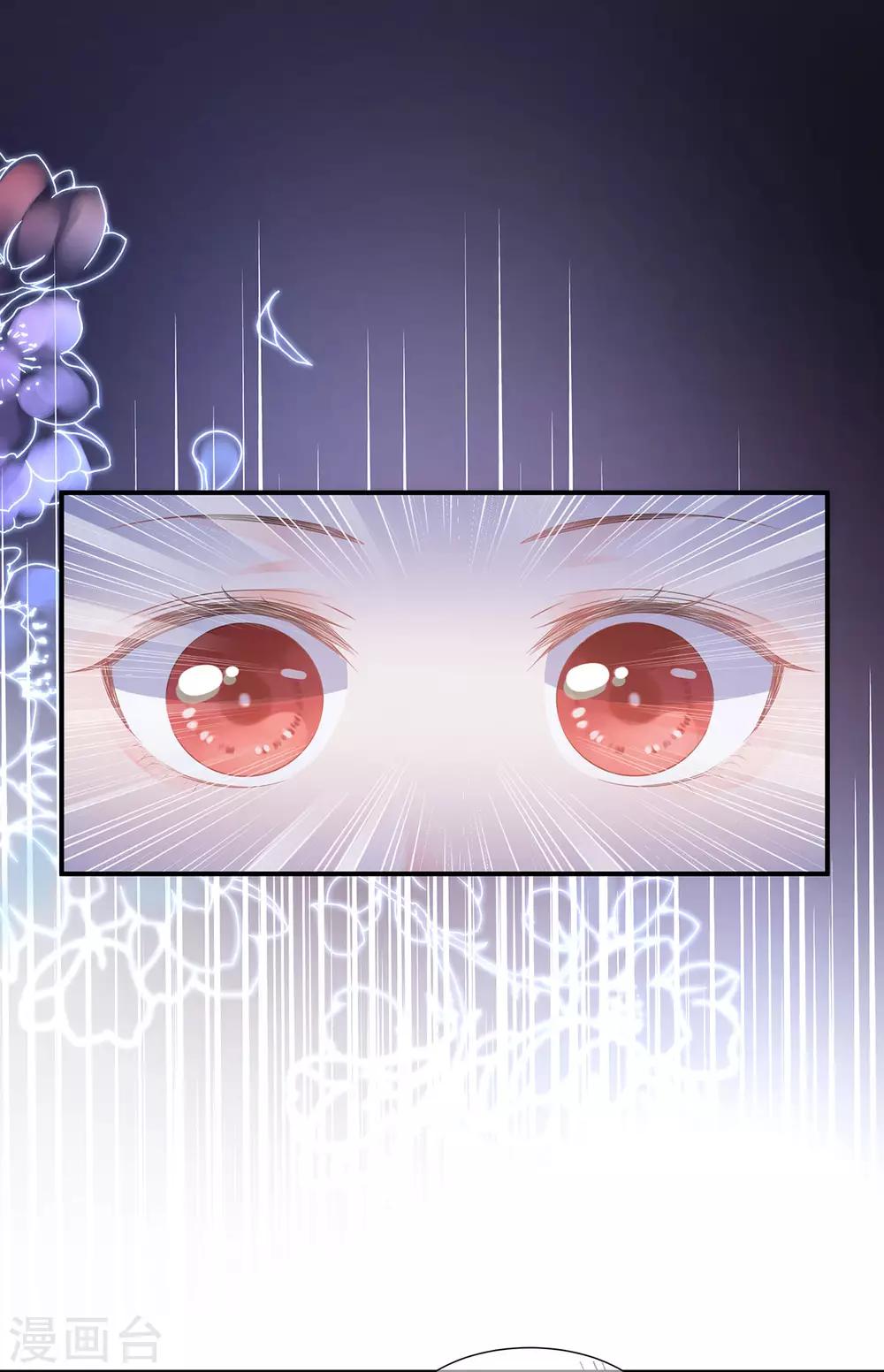 第4话 萌宠生涯-第5话