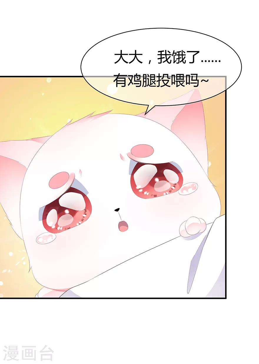 第4话 萌宠生涯-第5话