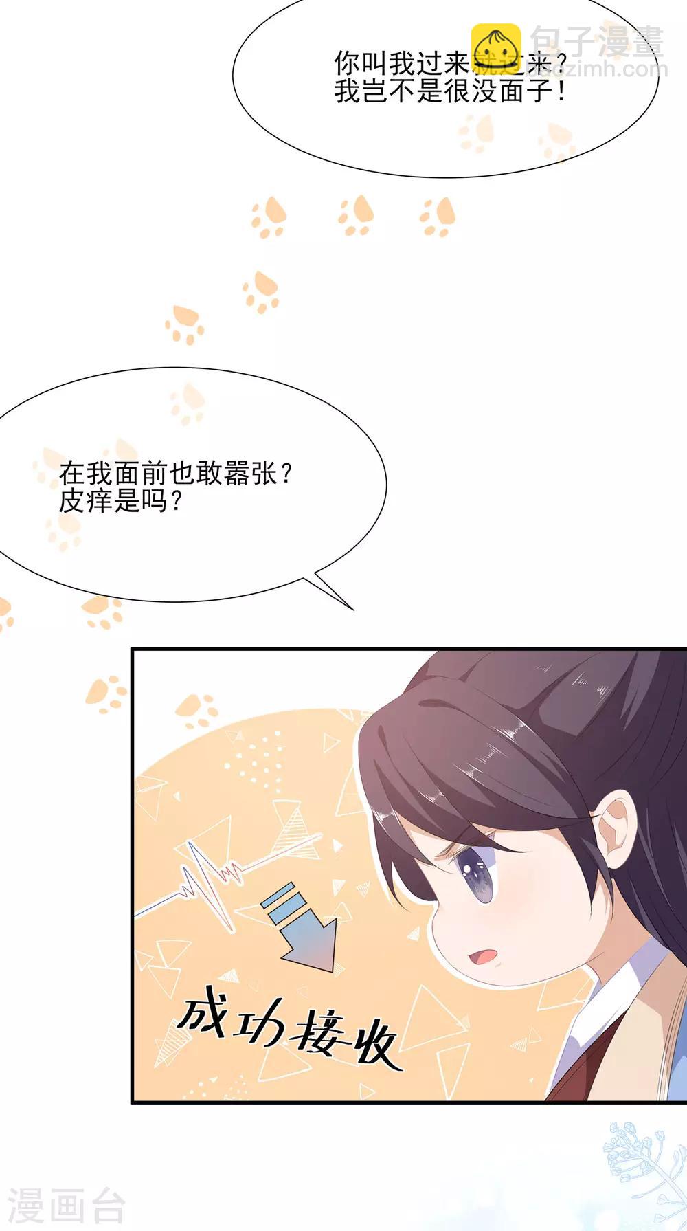 第4话 萌宠生涯-第5话