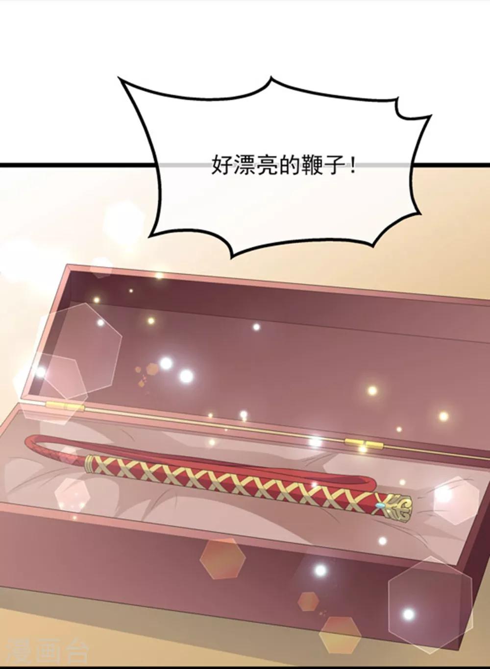 第39话 宸王母妃-第45话