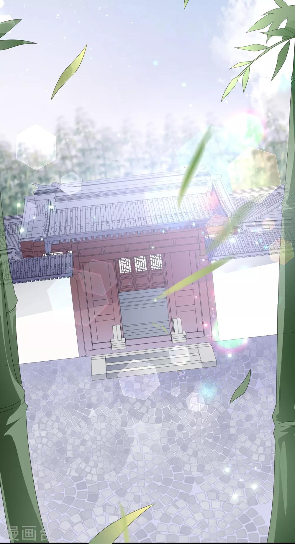 第39话 宸王母妃-第45话