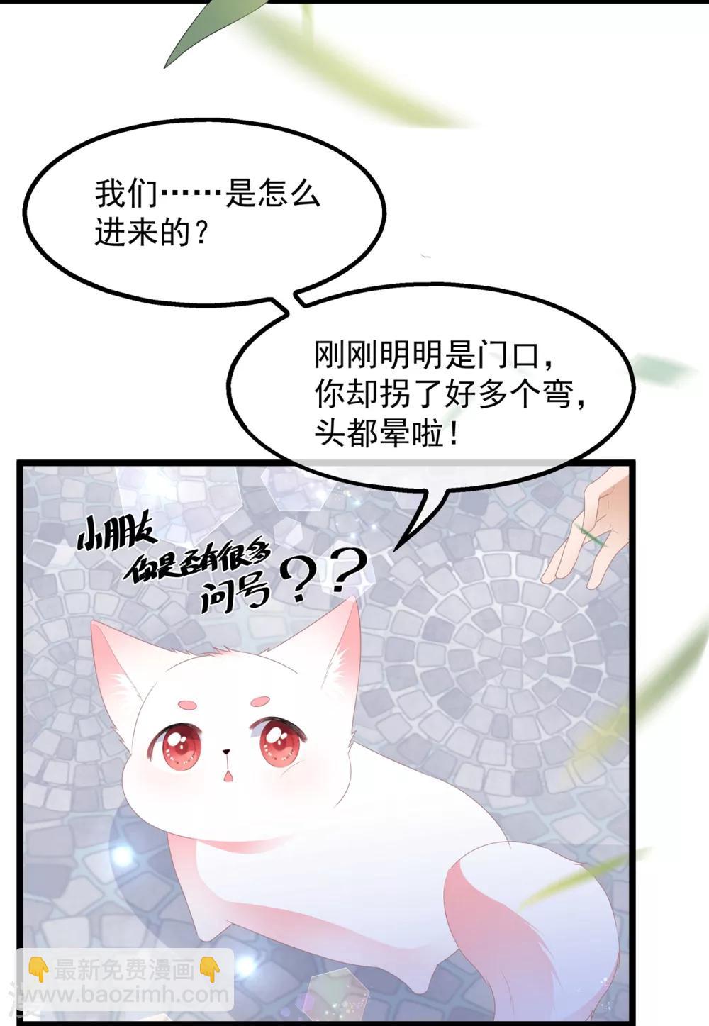 第39话 宸王母妃-第45话