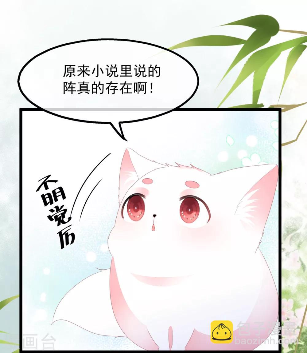 第39话 宸王母妃-第45话