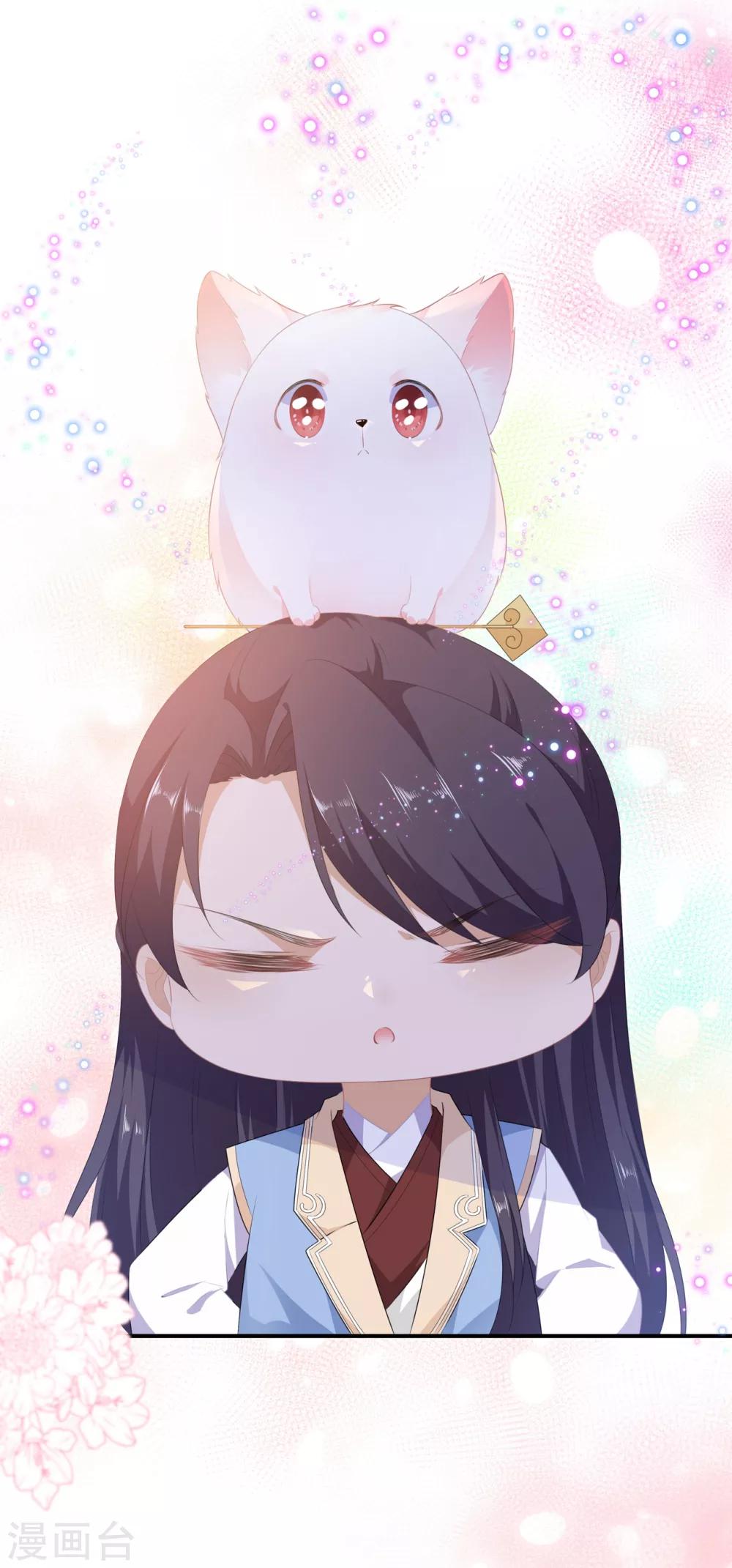 第39话 宸王母妃-第45话