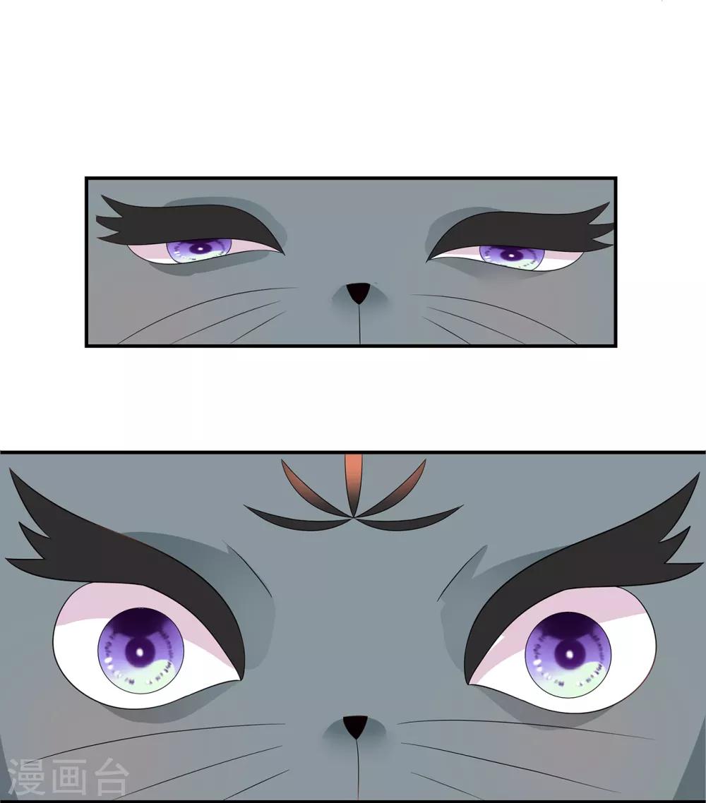 第63话 你就叫小黑脸吧-第73话