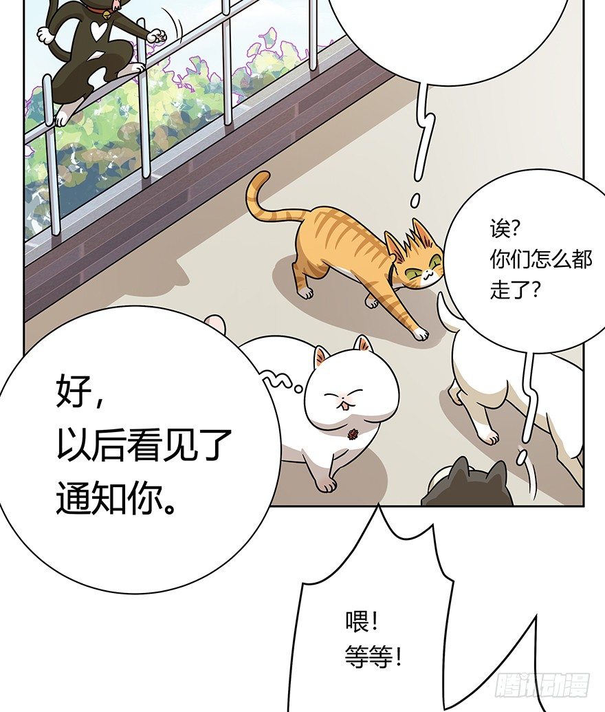 第95爪 &ldquo;大事情&rdquo;-第101话