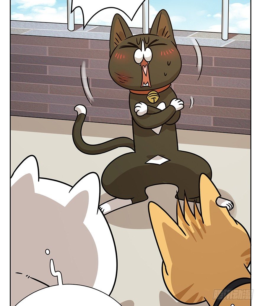 第95爪 &ldquo;大事情&rdquo;-第101话