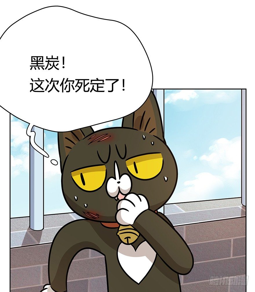 第95爪 &ldquo;大事情&rdquo;-第101话