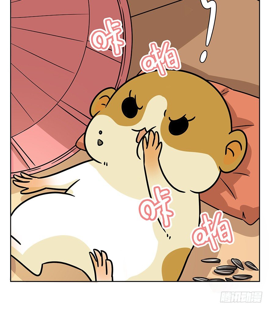 第95爪 &ldquo;大事情&rdquo;-第101话