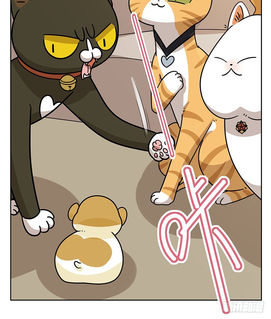 第99爪 中计了-第105话