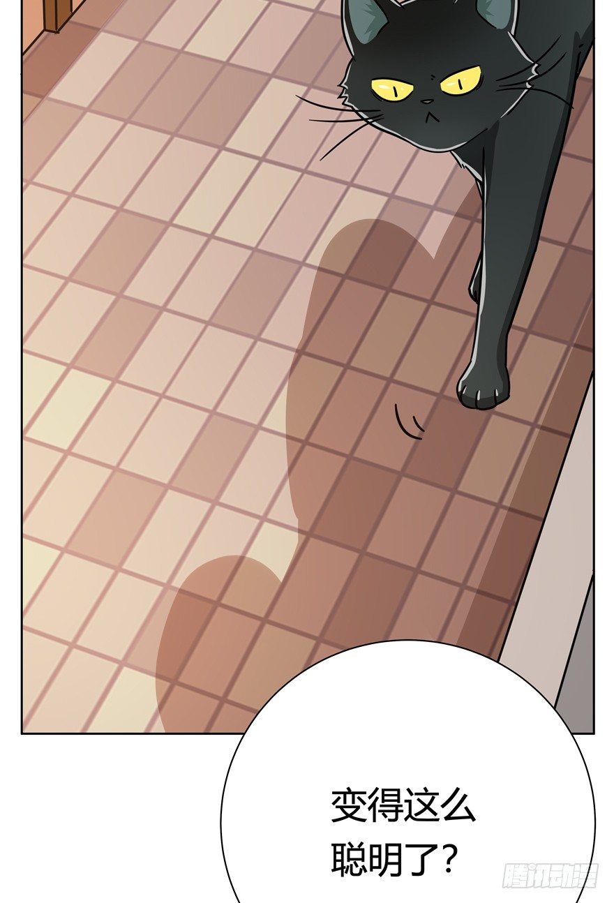 第105爪 阴差阳错（上）-第111话