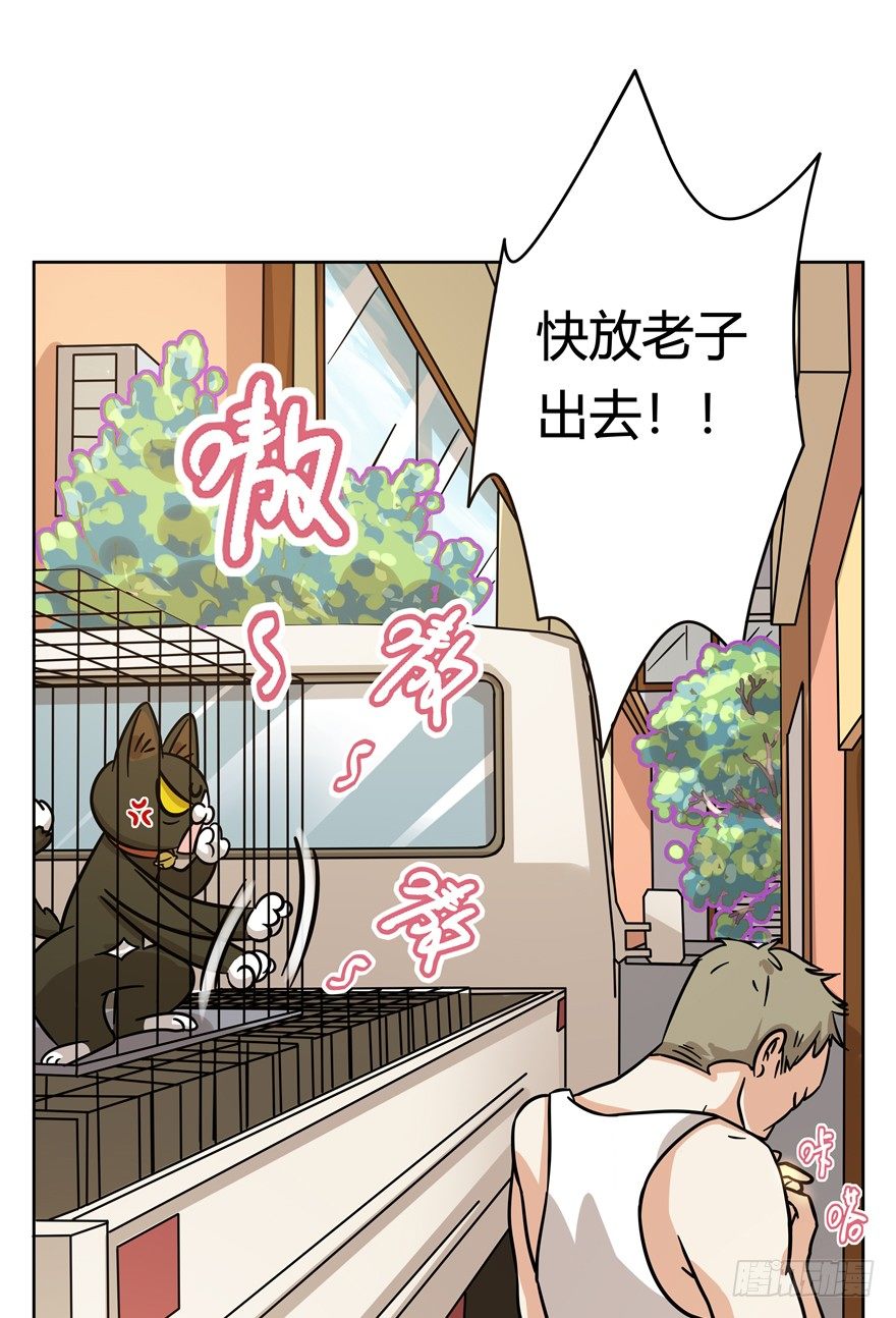 第105爪 阴差阳错（上）-第111话