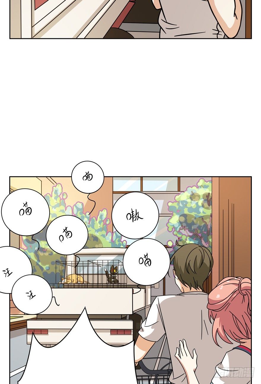 第105爪 阴差阳错（上）-第111话