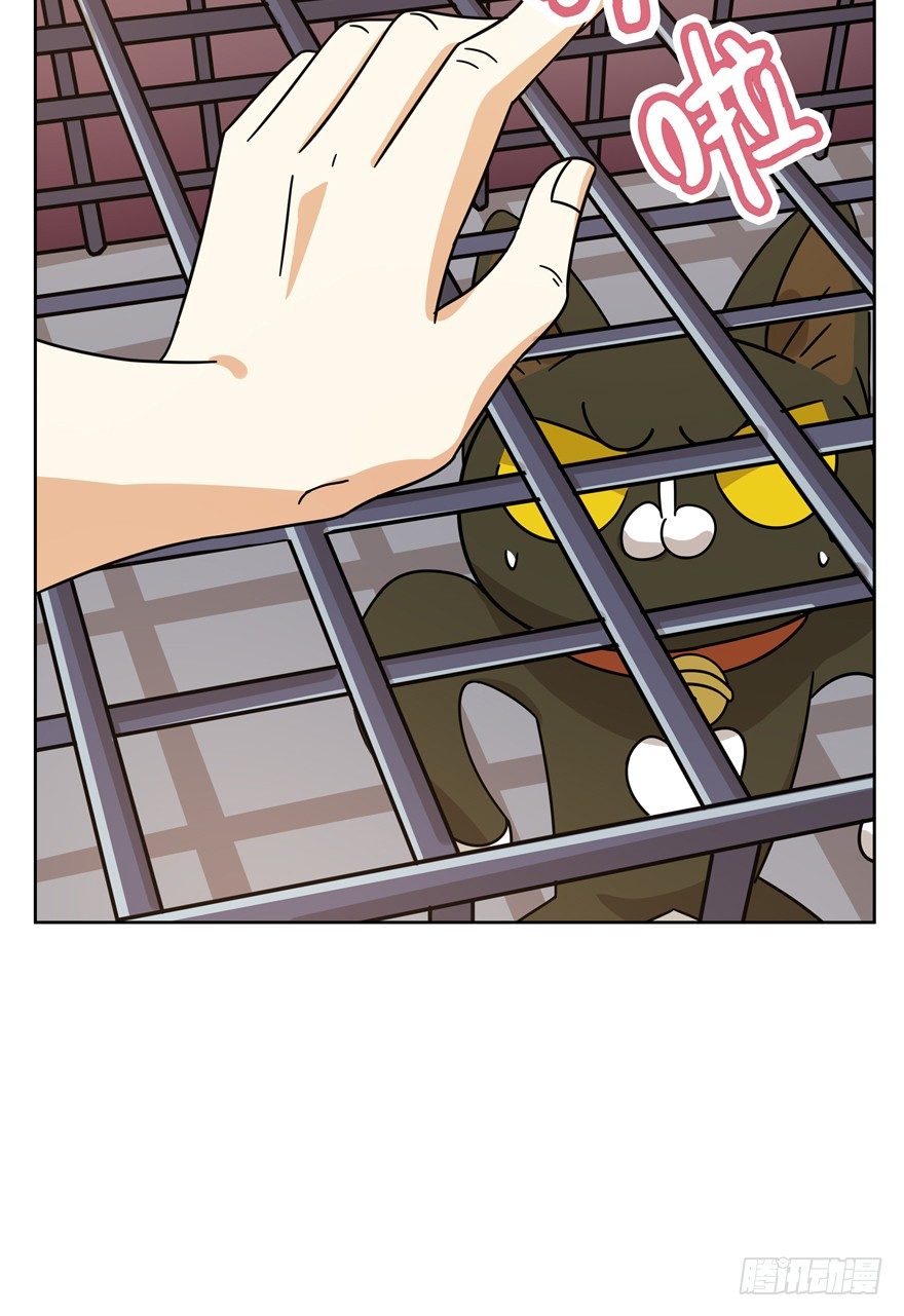 第113爪 敏捷的胖子（上）-第119话