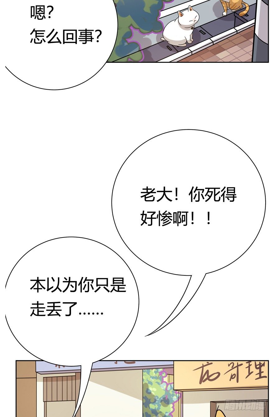 第121爪 回马枪（下）-第127话