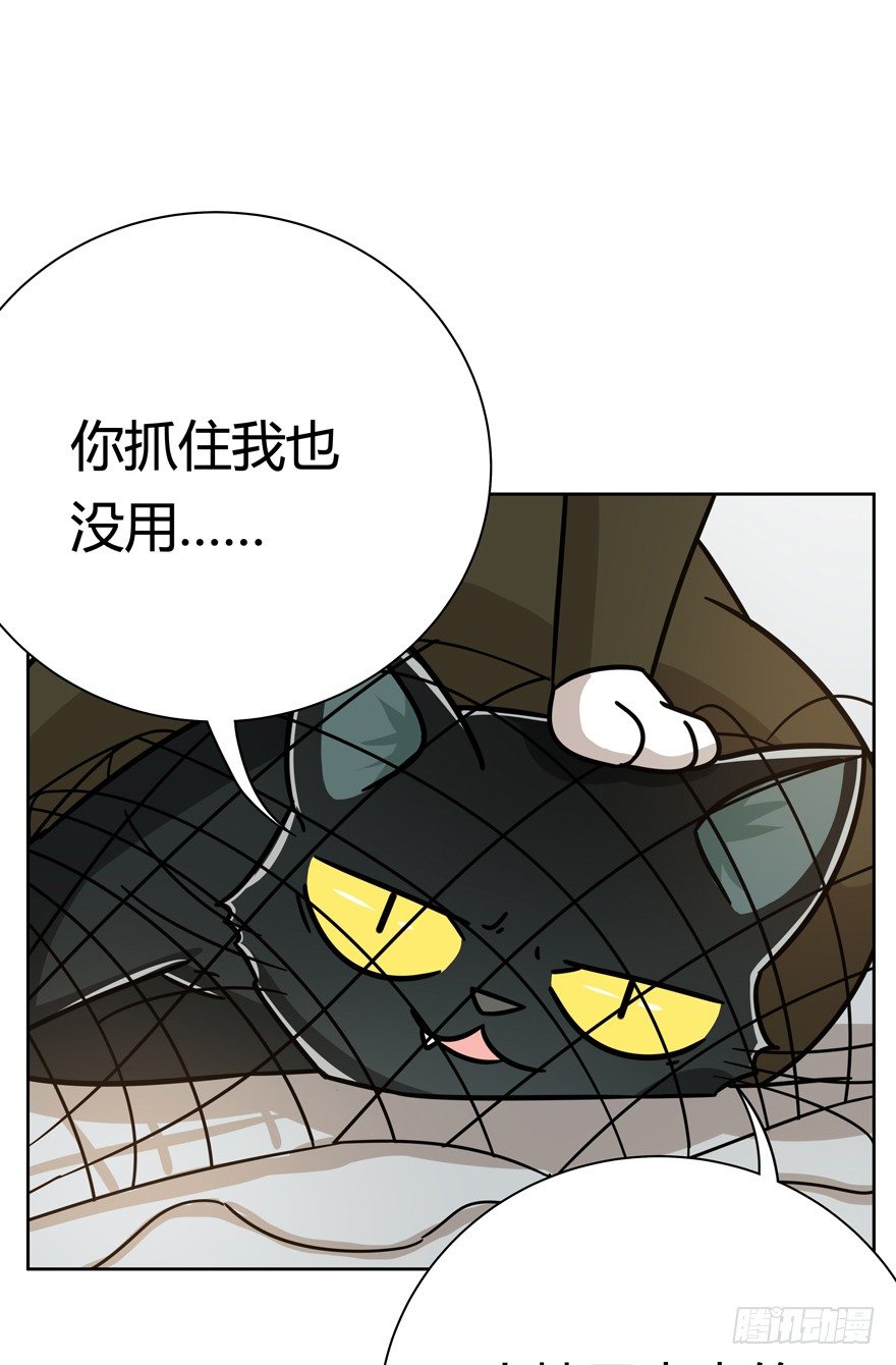 第121爪 回马枪（下）-第127话