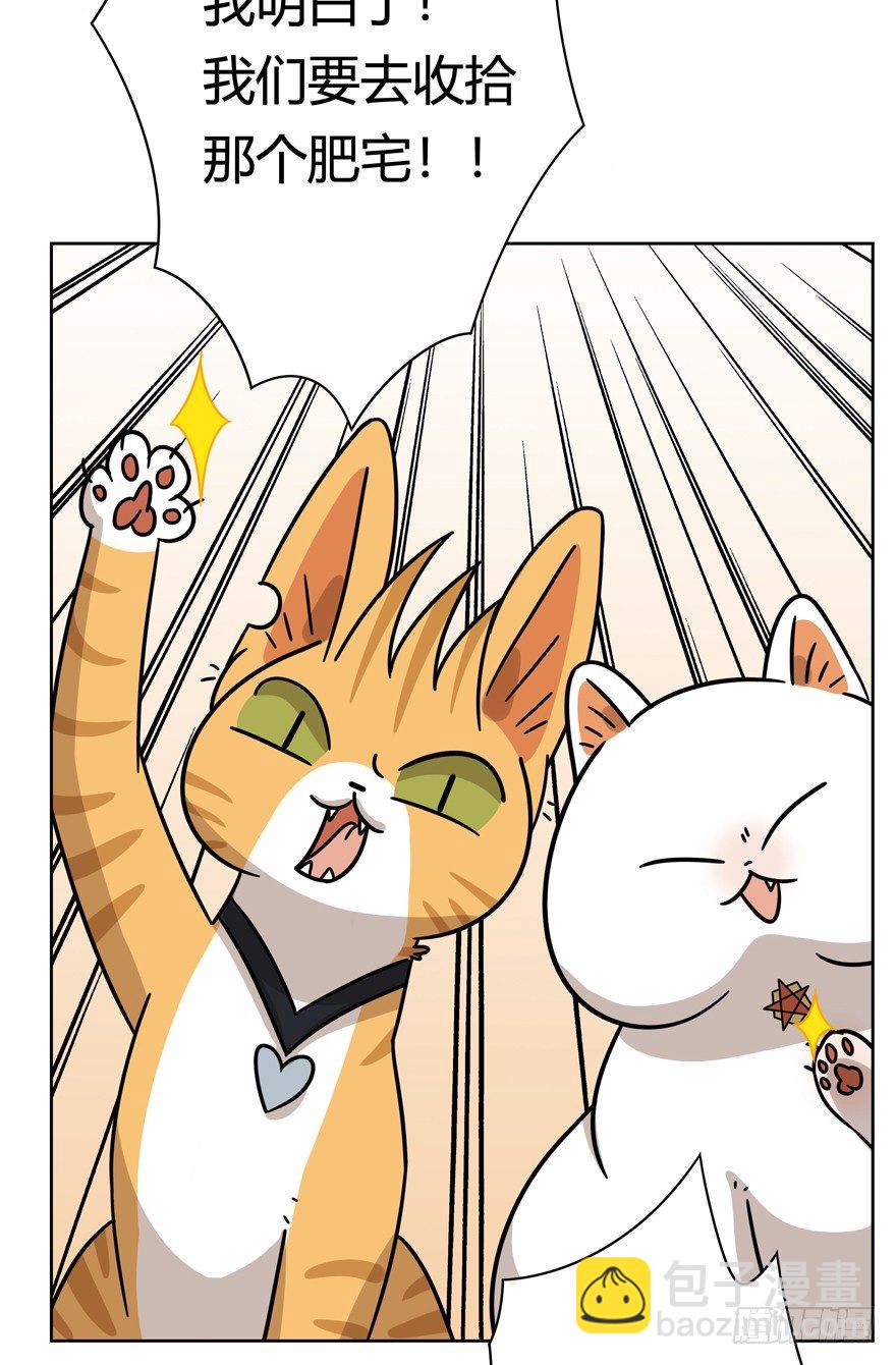 第121爪 回马枪（下）-第127话