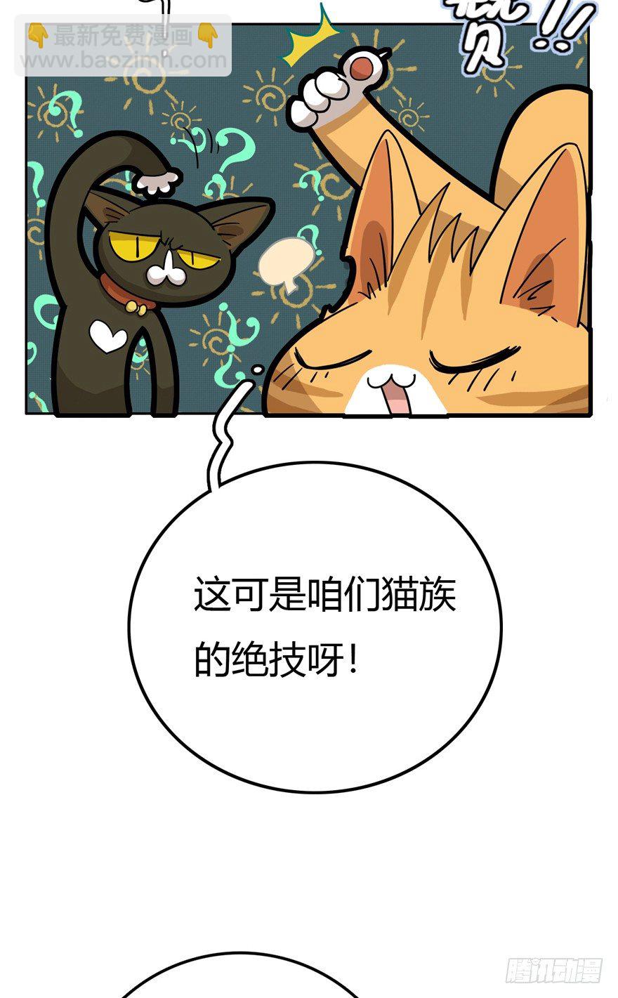 第15爪 亲！强身健脑了解一下吗-第15话