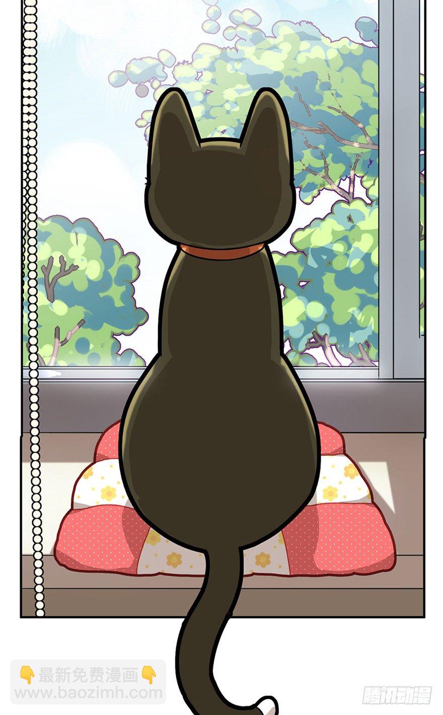 第15爪 亲！强身健脑了解一下吗-第15话