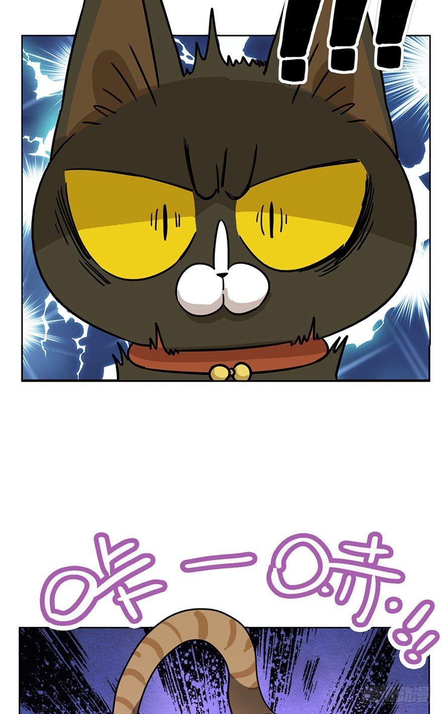 第15爪 亲！强身健脑了解一下吗-第15话