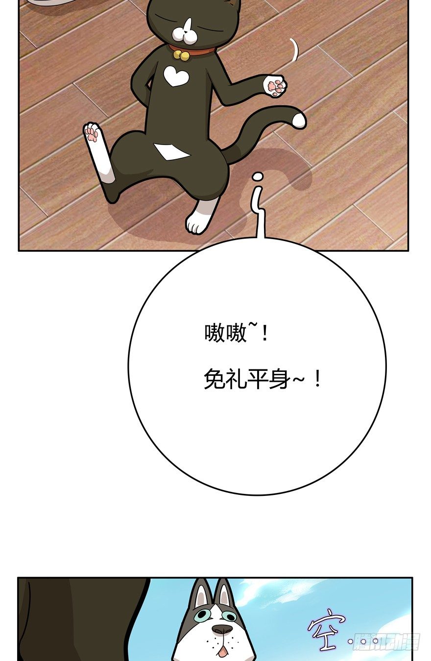 第17爪 猫生赢家（上）-第17话