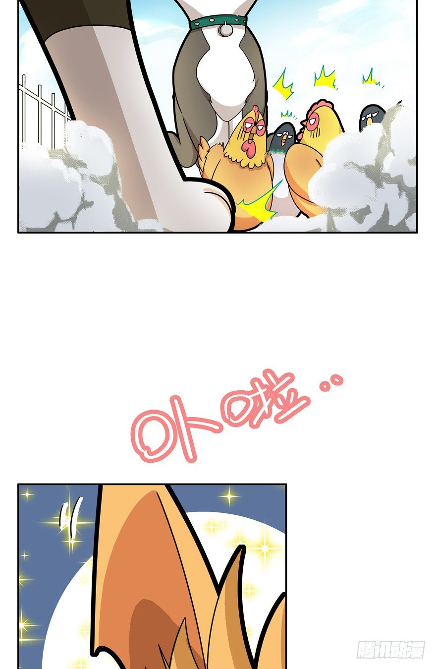 第17爪 猫生赢家（上）-第17话