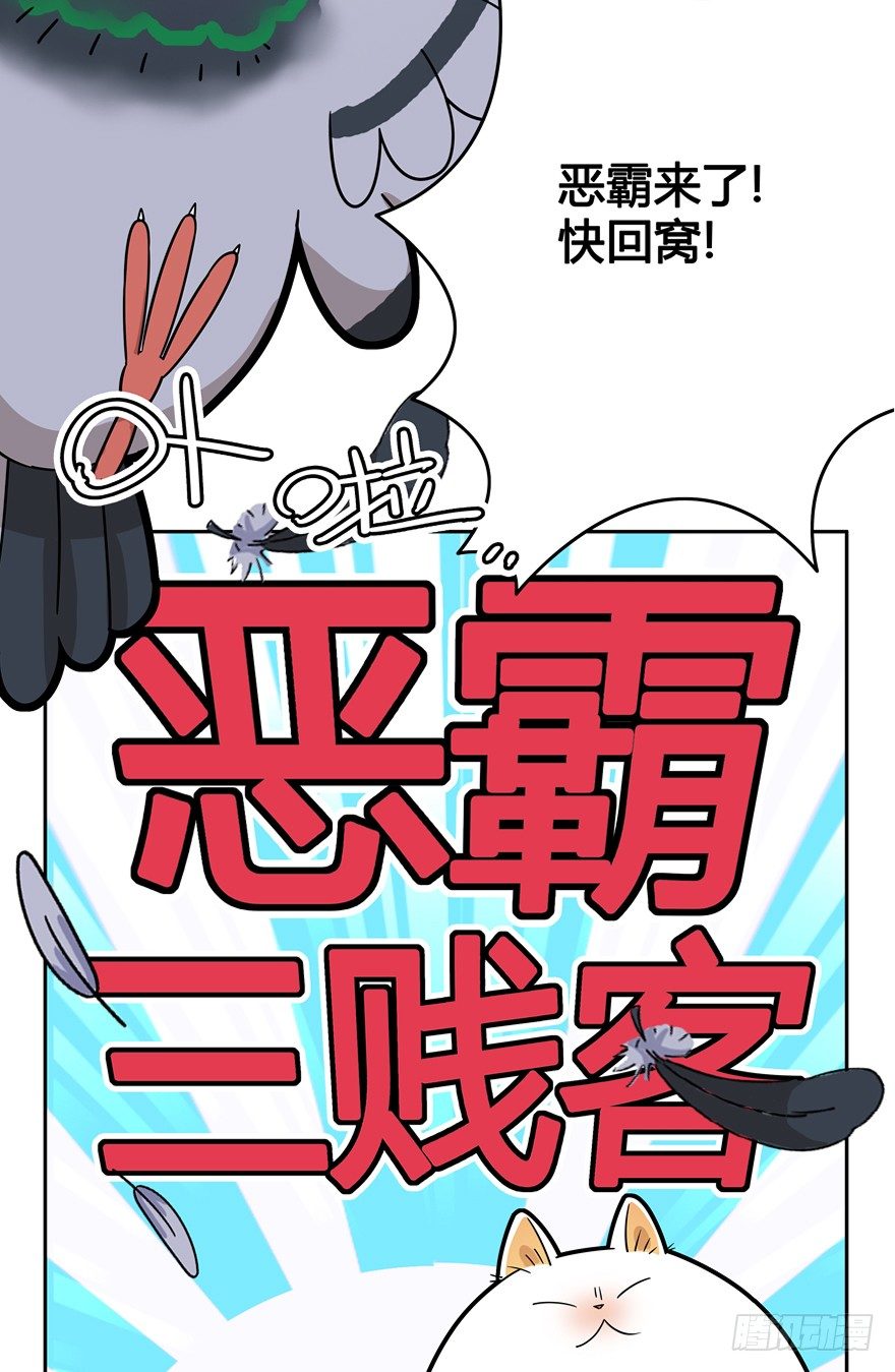 第17爪 猫生赢家（上）-第17话