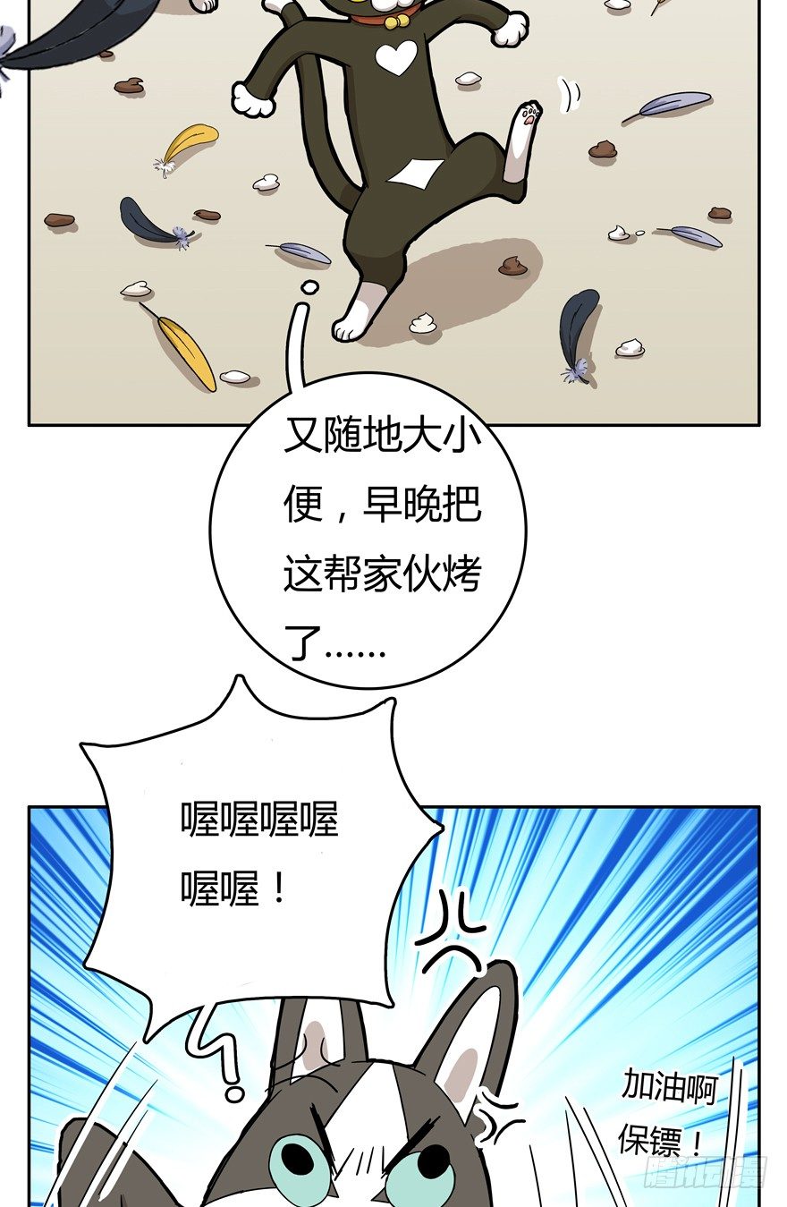 第17爪 猫生赢家（上）-第17话