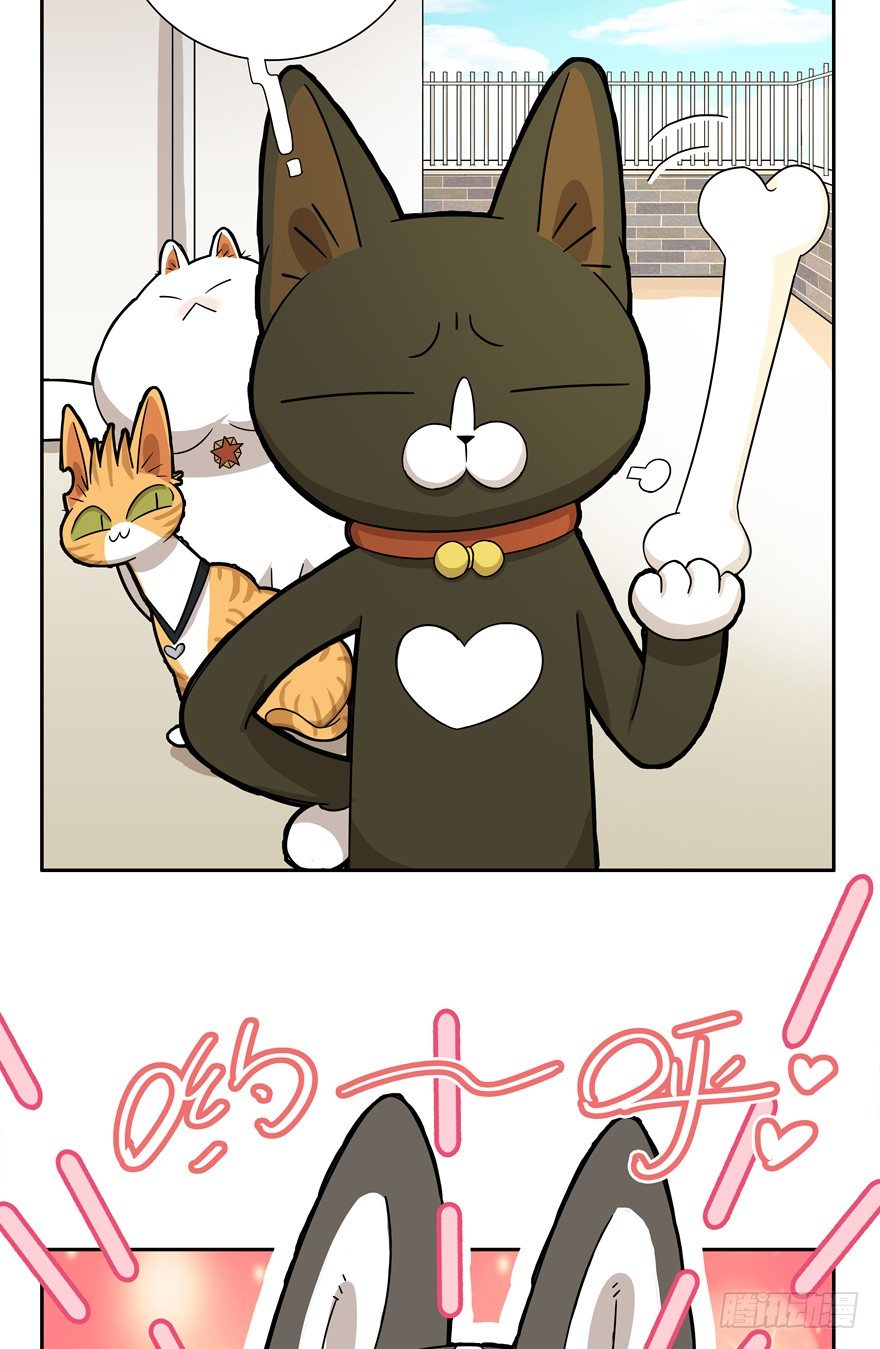 第17爪 猫生赢家（上）-第17话