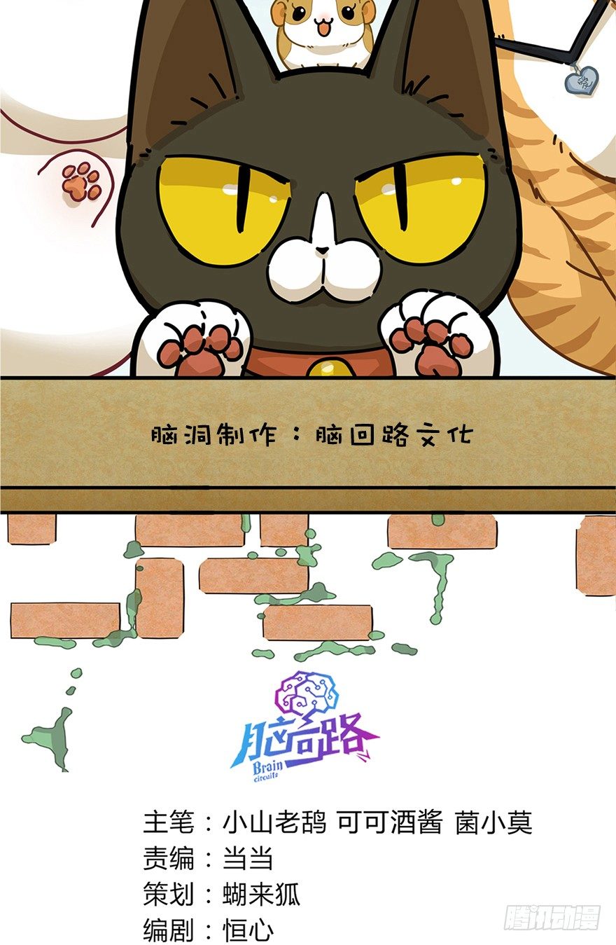 第17爪 猫生赢家（上）-第17话