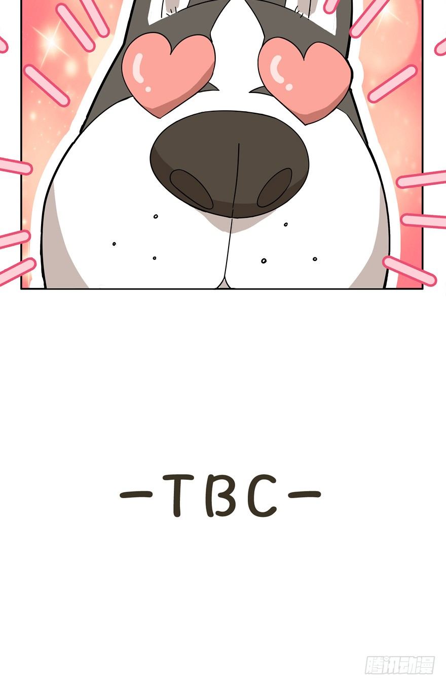 第17爪 猫生赢家（上）-第17话