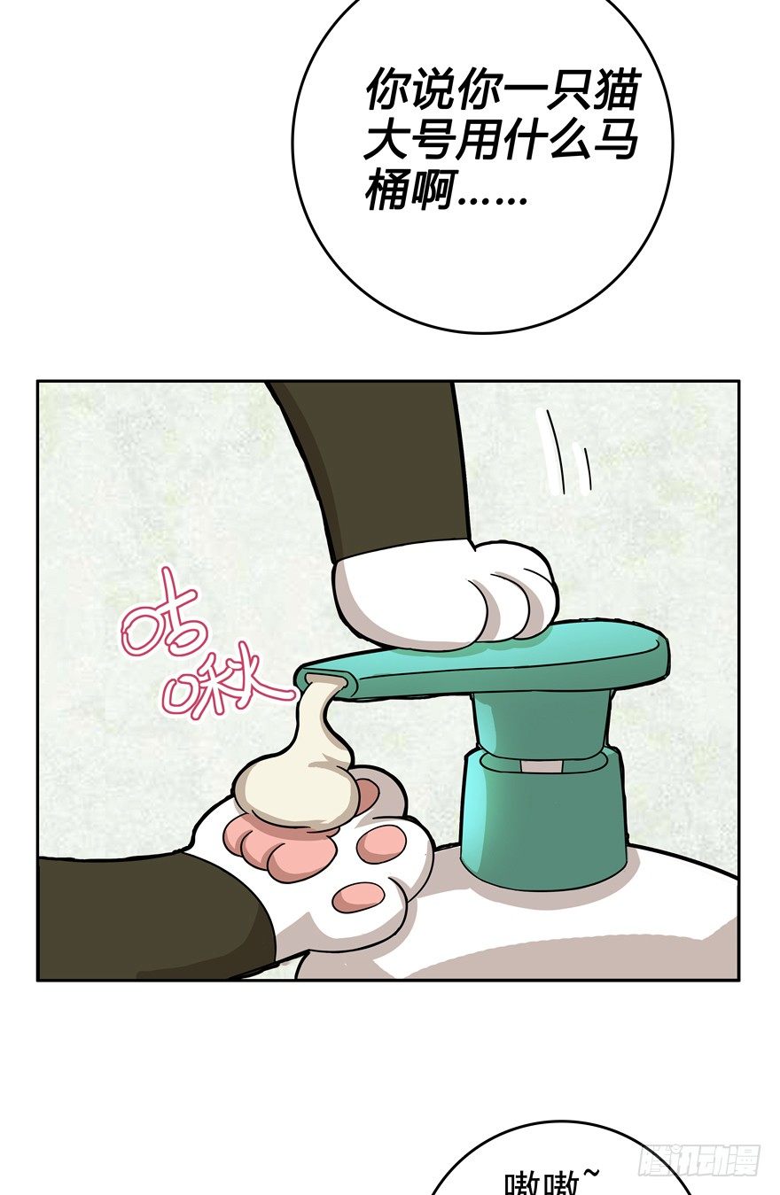 第17爪 猫生赢家（上）-第17话