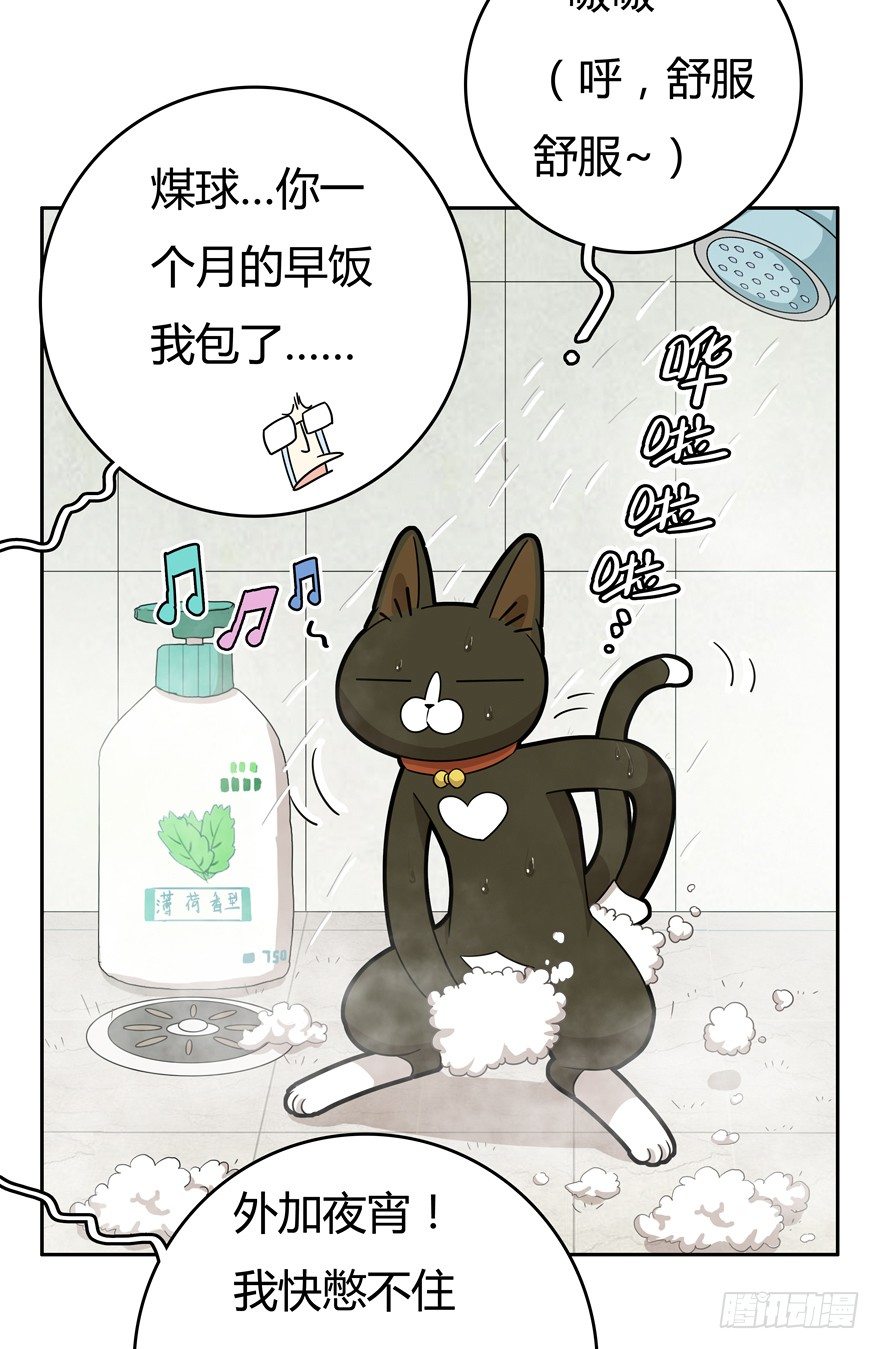 第17爪 猫生赢家（上）-第17话