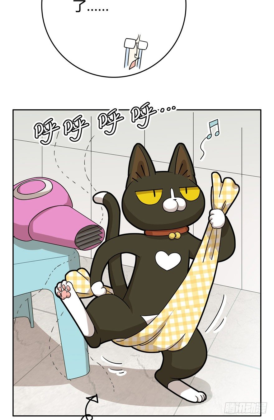 第17爪 猫生赢家（上）-第17话