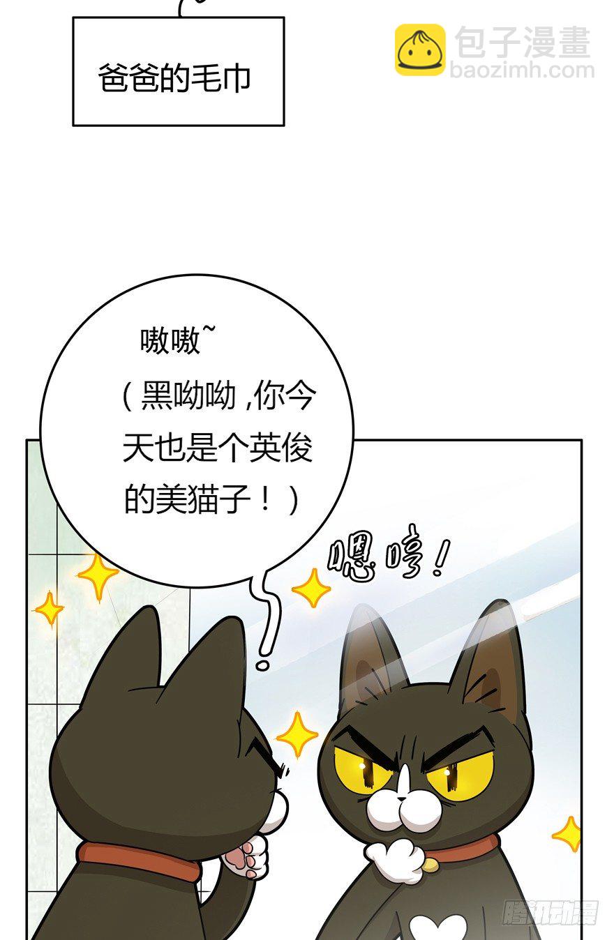 第17爪 猫生赢家（上）-第17话