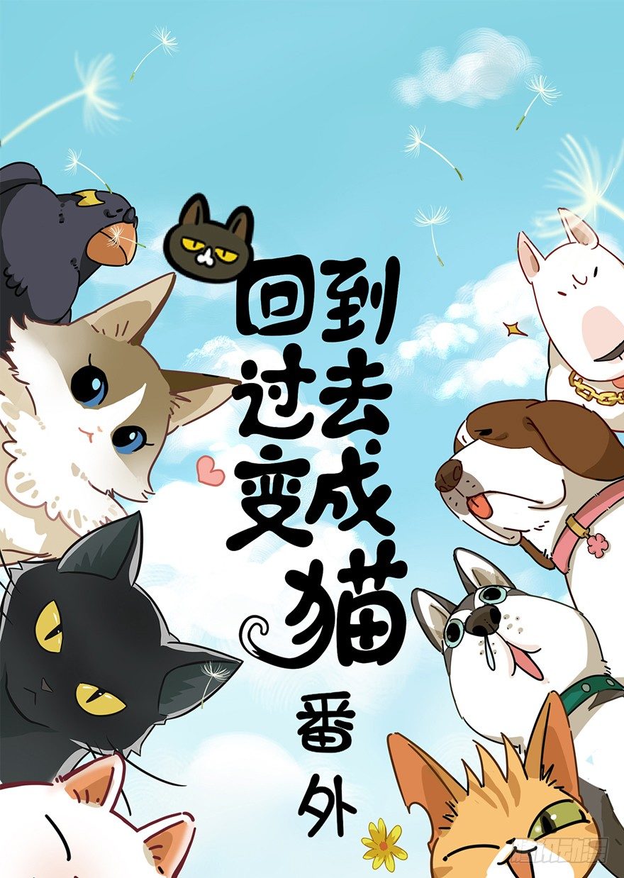 回到过去变成猫外传 - 第19爪 她喜欢的人 - 1