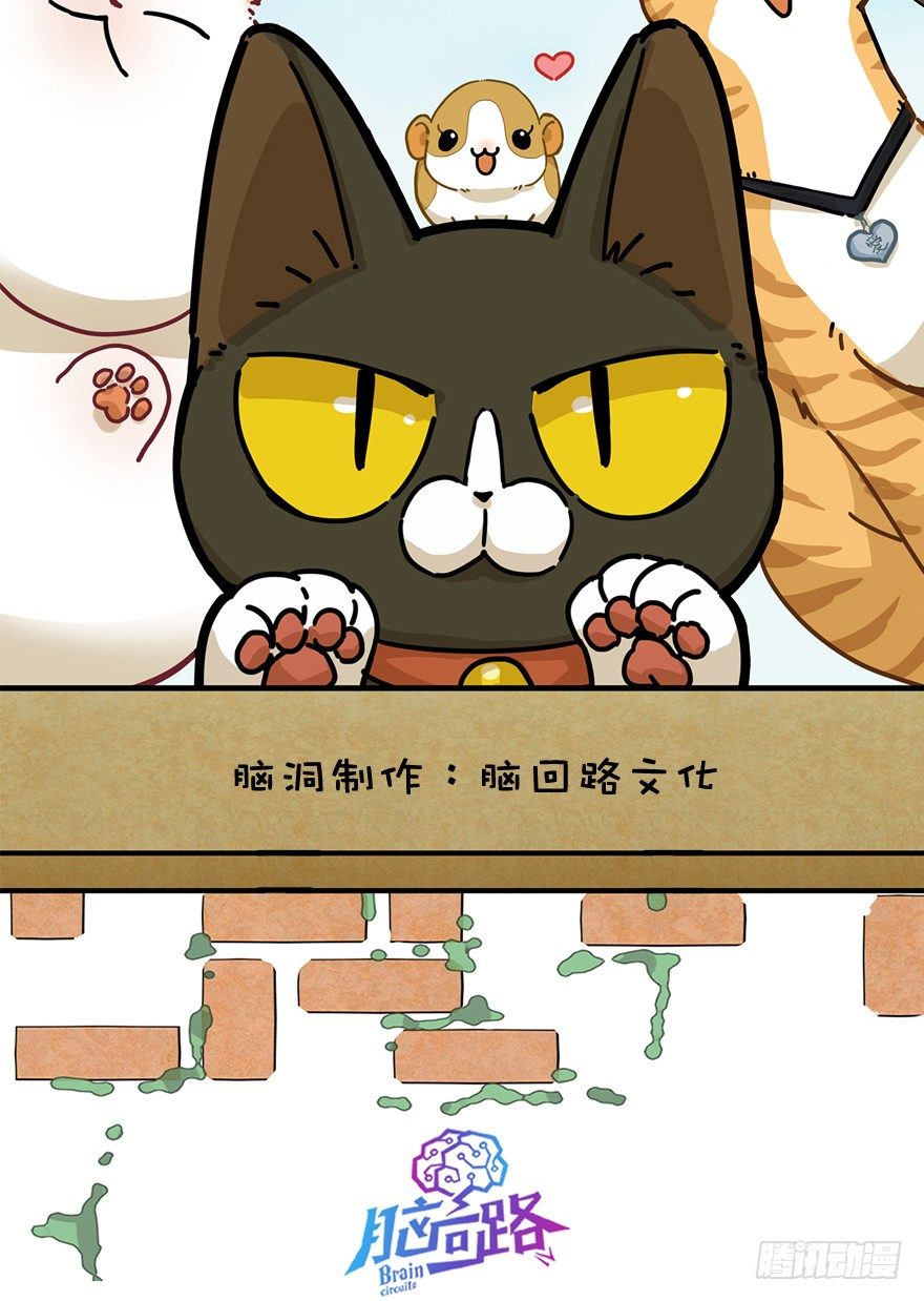 第19爪 她喜欢的人-第19话