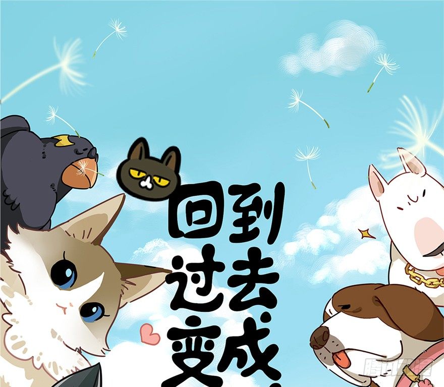 第3爪 做猫第一课（下）-第3话