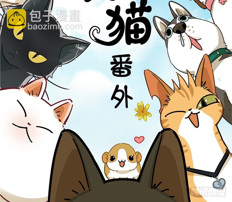 第3爪 做猫第一课（下）-第3话