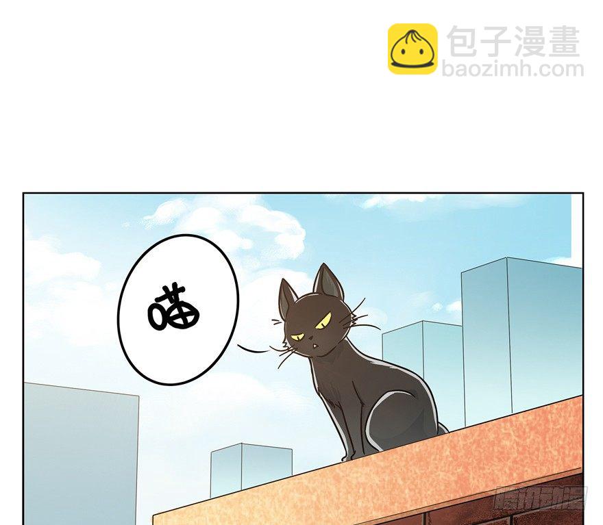 回到过去变成猫外传 - 第3爪 做猫第一课（下） - 5