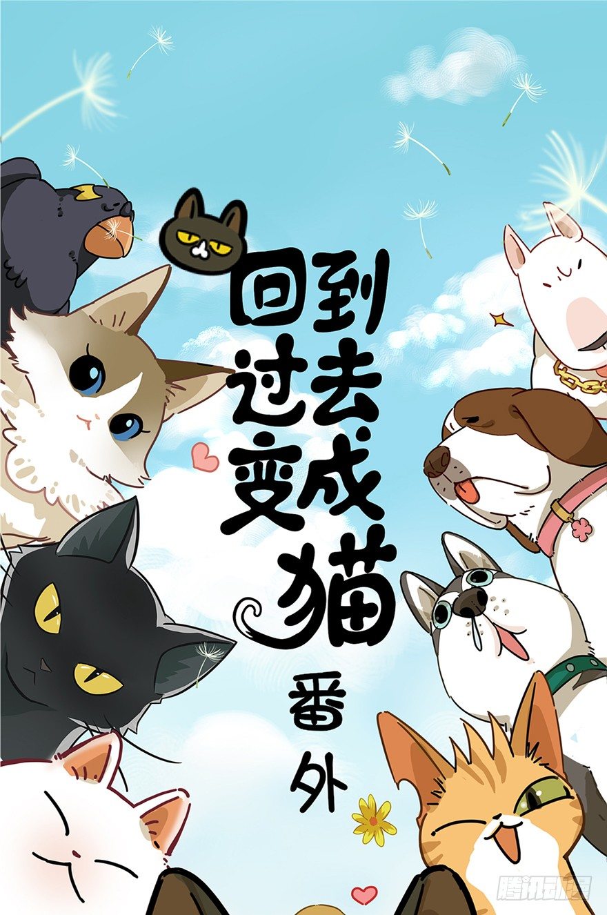 回到过去变成猫外传 - 第21爪 夏天真好（下） - 1