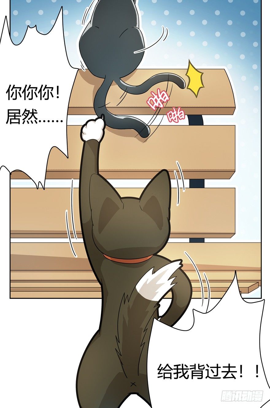 第21爪 夏天真好（下）-第21话