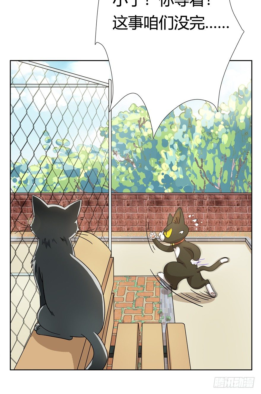 第21爪 夏天真好（下）-第21话