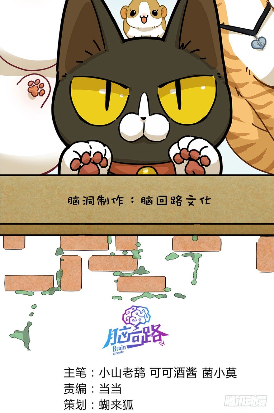 回到过去变成猫外传 - 第21爪 夏天真好（下） - 2