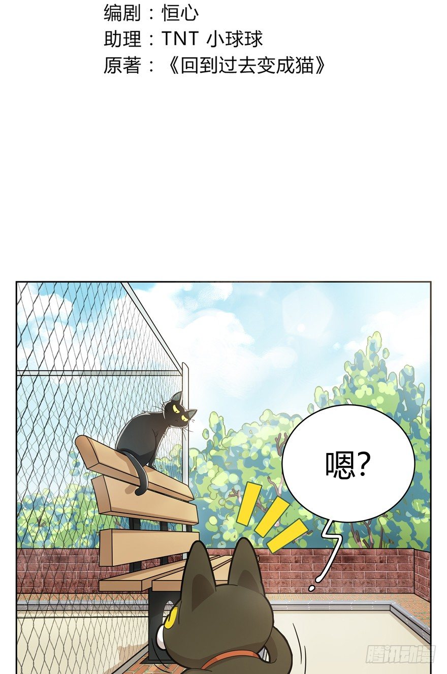 回到过去变成猫外传 - 第21爪 夏天真好（下） - 3