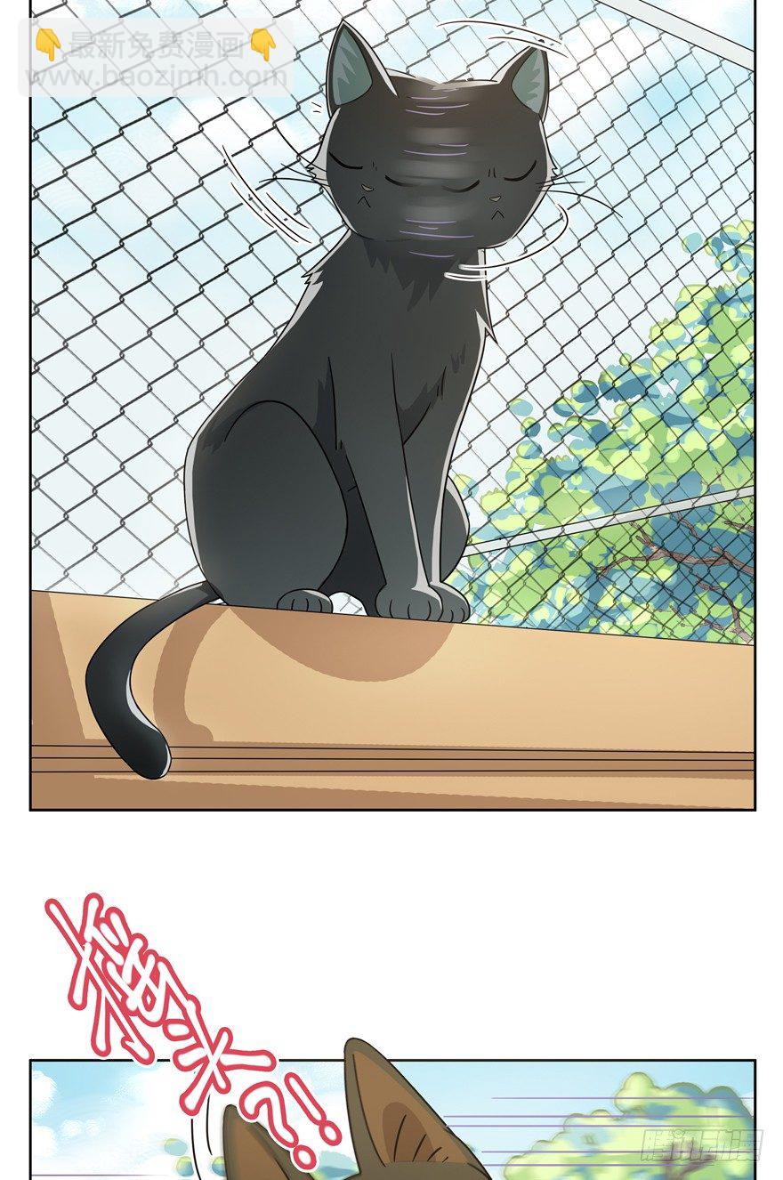 第21爪 夏天真好（下）-第21话