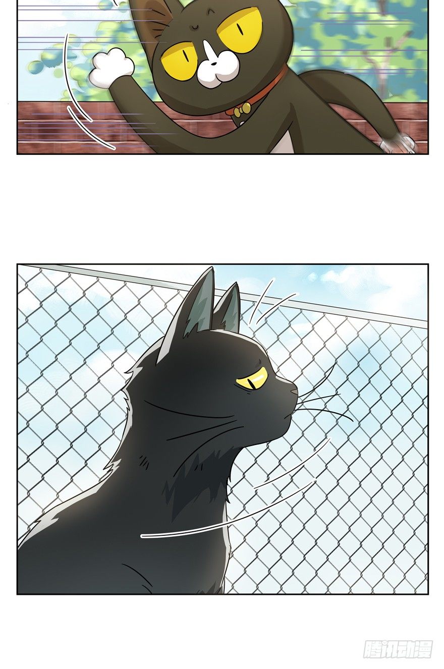 第21爪 夏天真好（下）-第21话