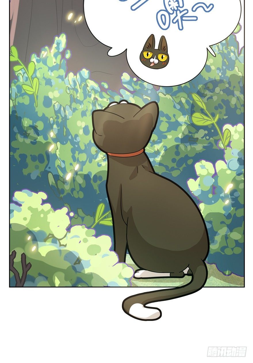 第25爪 女王大人（上）-第25话